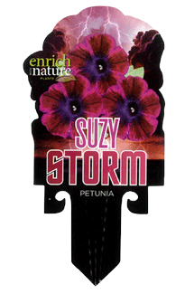 Petunia-suzy-storm-label.gif