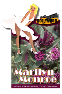 marilyn-monroe-label.gif