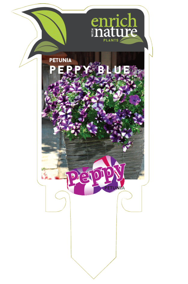 petunia-peppy-blue-label0.png