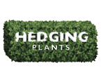 plant Logo